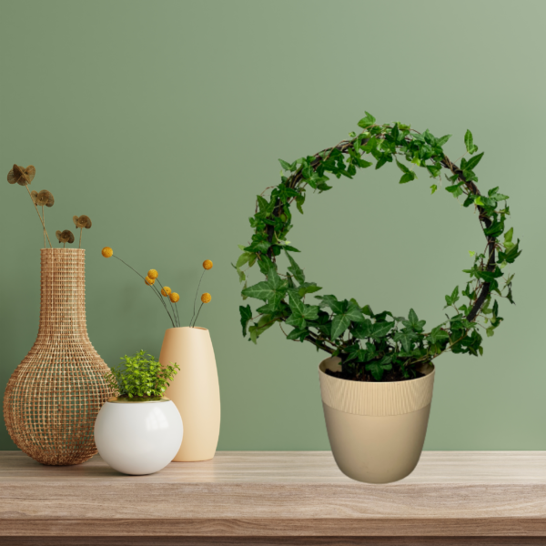 Plant Support AURA M/L - Image 10