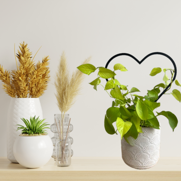Plant Support – HEART M/L - Image 4