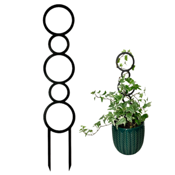 Plant Support CORAL M/L