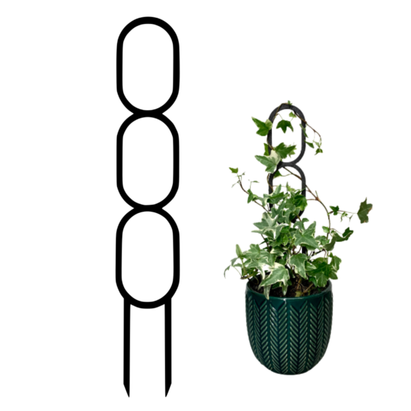 Plant Support OVAL M/L