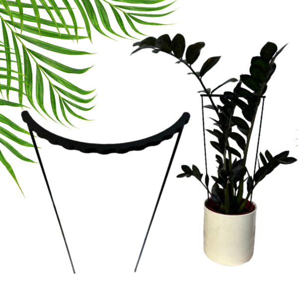 Plant Support RING TRIPLE S/M - Image 5