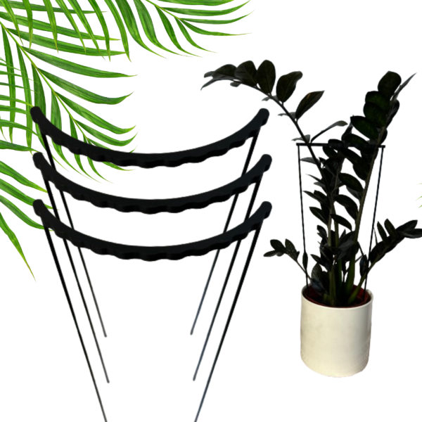 Plant Support RING TRIPLE S/M - Image 6