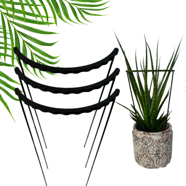 Plant Support RING TRIPLE S/M - Image 7