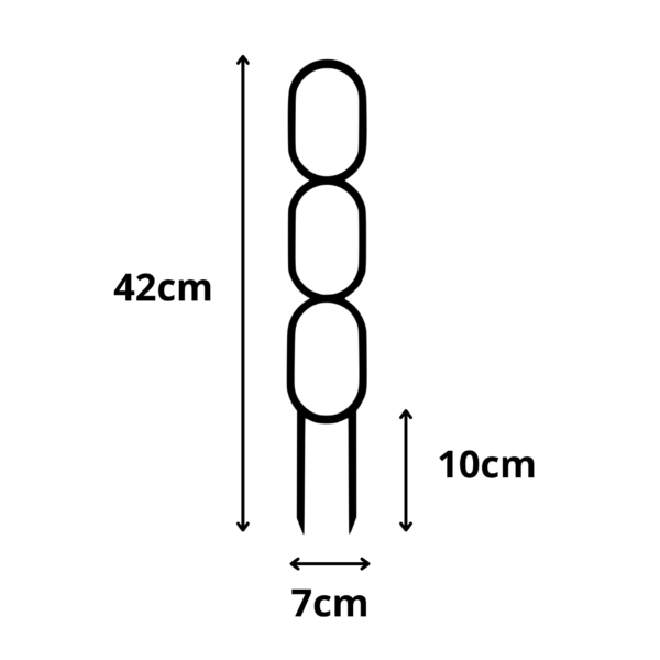 Plant Support OVAL M/L - Image 3