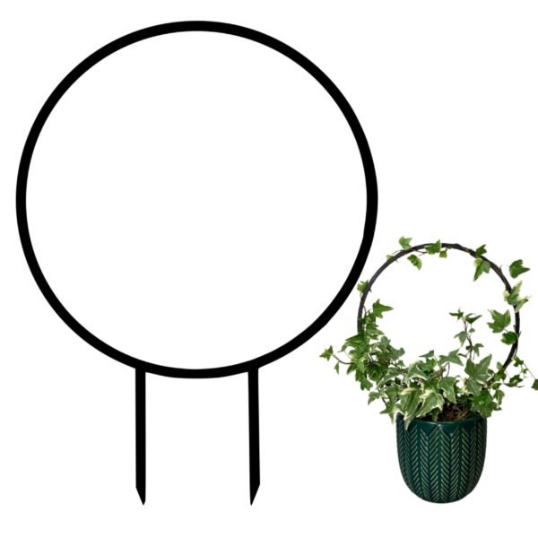 Plant Support AURA M/L
