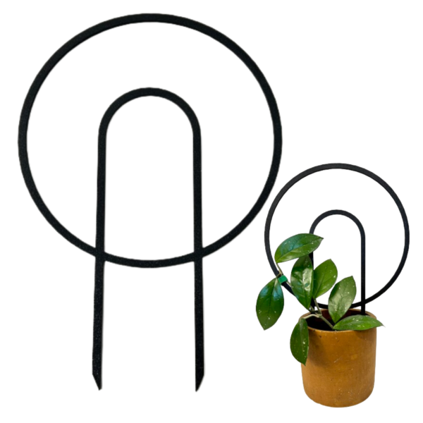 AURA PORTAL Plant Support