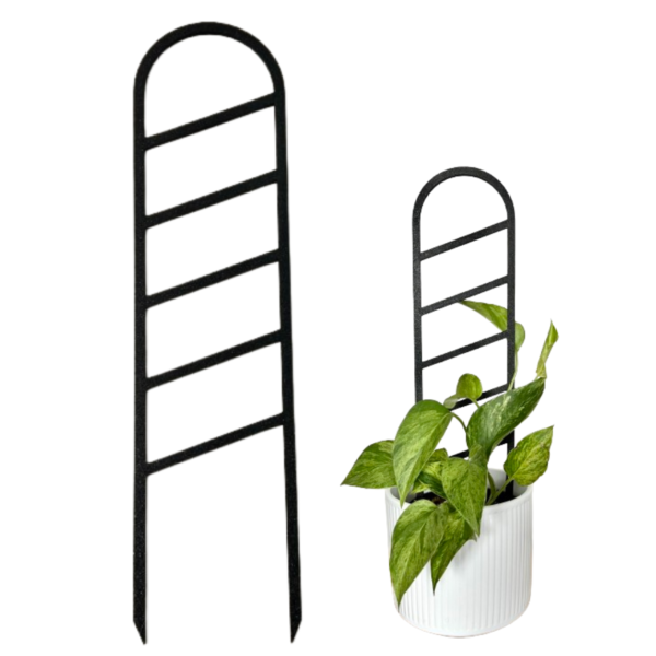 PORTAL LADDER Plant Support