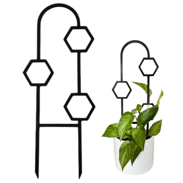 PORTAL HEXAL Plant Support