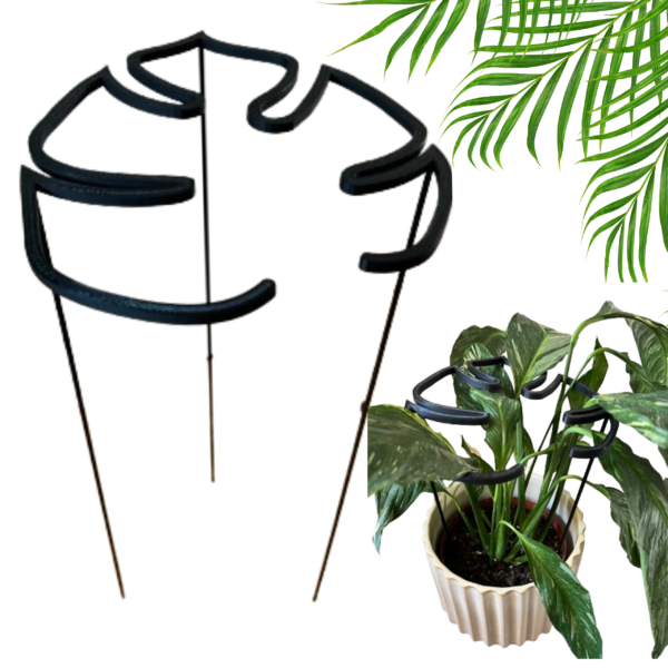 Plant Support RING MONSTERA M/L