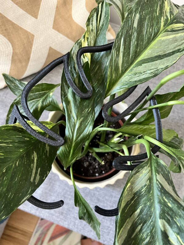 Plant Support RING MONSTERA M/L - Image 4