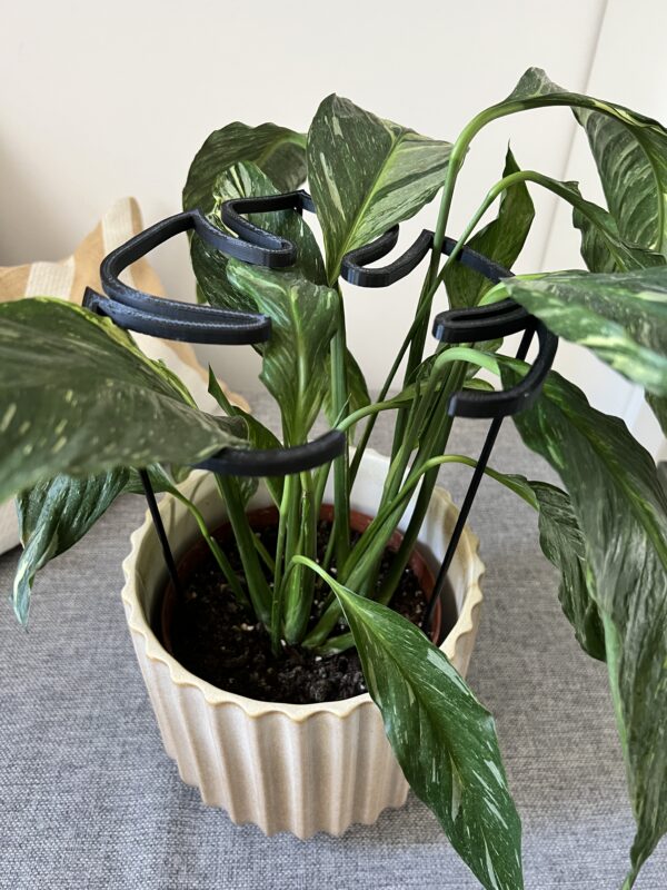 Plant Support RING MONSTERA M/L - Image 5