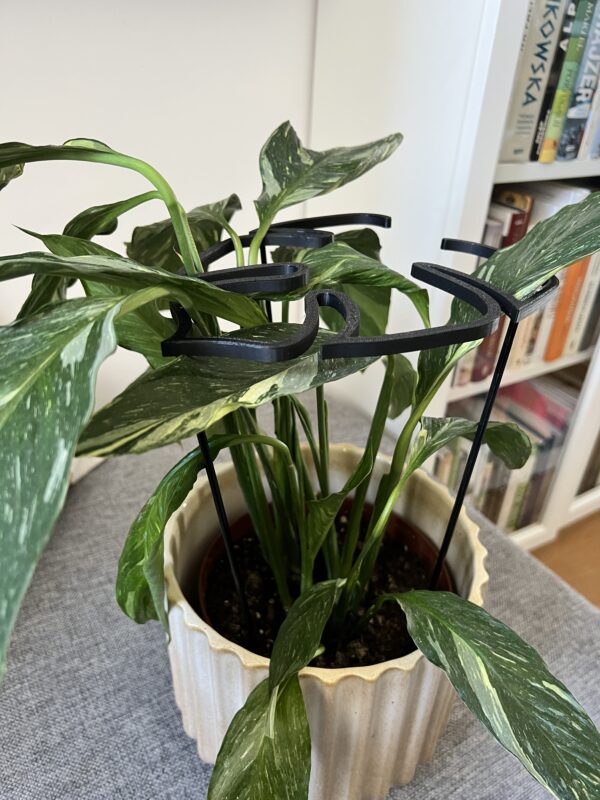 Plant Support RING MONSTERA M/L - Image 6