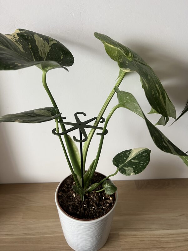 OCTOPUS Gripper - Image 7